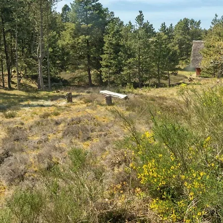 Ridir - 3-5km From The Sea In Western Jutland By Interhome Holiday home *